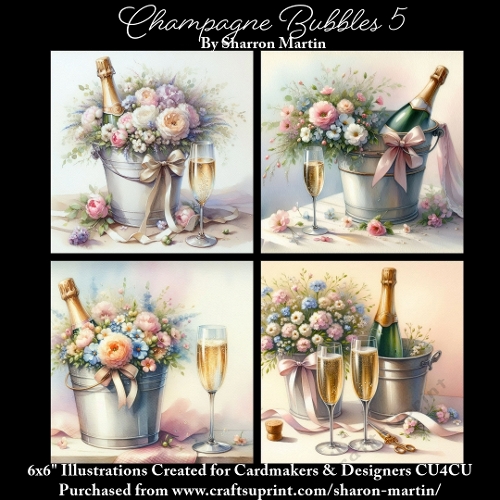 6x6 Champagne Bubbles 5 - Illustrations for Cardmakers & Designers  