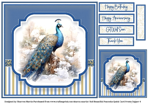 8x8 Beautiful Peacock 4 - Quick Card with Gift Tag and Sentiments 