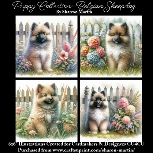 6x6 Puppy Collection - Belgian Sheepdog - Illustrations for Cardmaking & Designers
