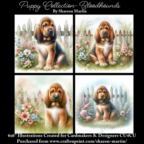 6x6 Puppy Collection - Bloodhounds - Illustrations for Cardmaking & Designers