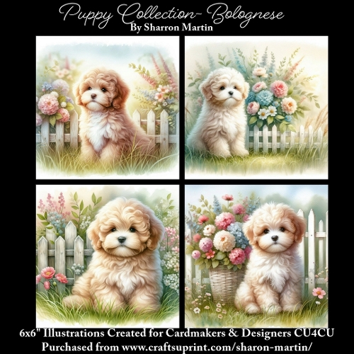 6x6 Puppy Collection - Bolognese - Illustrations for Cardmaking & Designers