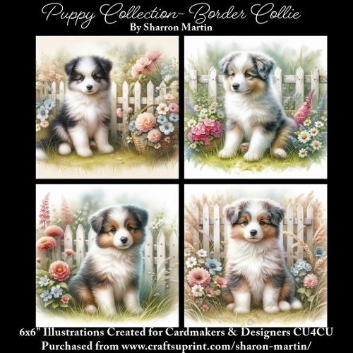 6x6 Puppy Collection - Border Collie - Illustrations for Cardmaking & Designers