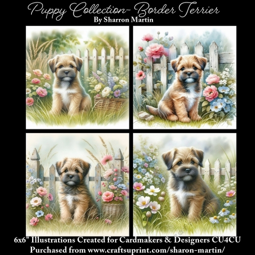 6x6 Puppy Collection - Border Terrier - Illustrations for Cardmaking & Designers