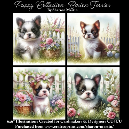 6x6 Puppy Collection - Boston Terrier - Illustrations for Cardmaking & Designers