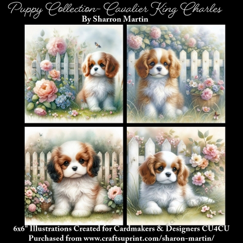 6x6 Puppy Collection - Cavalier King Charles - Illustrations for Cardmaking & Designers