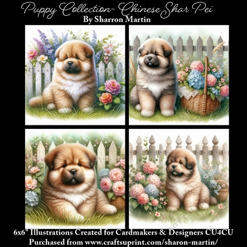 6x6 Puppy Collection - Chinese Shar Pei - Illustrations for Cardmaking & Designers