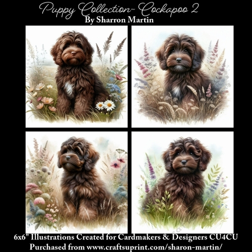 6x6 Puppy Collection - Cockapoo 2 - Illustrations for Cardmaking & Designers
