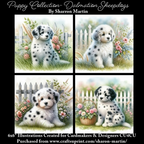 6x6 Puppy Collection - Dalmation Sheepdogs - Illustrations for Cardmaking & Designers