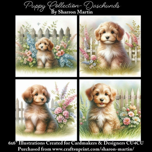 6x6 Puppy Collection - Daschunds - Illustrations for Cardmaking & Designers