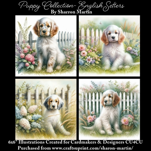 6x6 Puppy Collection - English Setters - Illustrations for Cardmaking & Designers