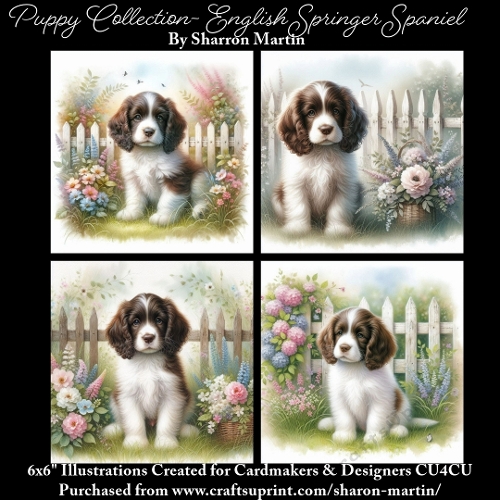6x6 Puppy Collection - English Springer Spaniel - Illustrations for Cardmaking & Designers