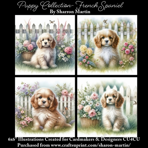 6x6 Puppy Collection - French Spaniel - Illustrations for Cardmaking & Designers