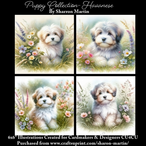 6x6 Puppy Collection - Havanese - Illustrations for Cardmaking & Designers