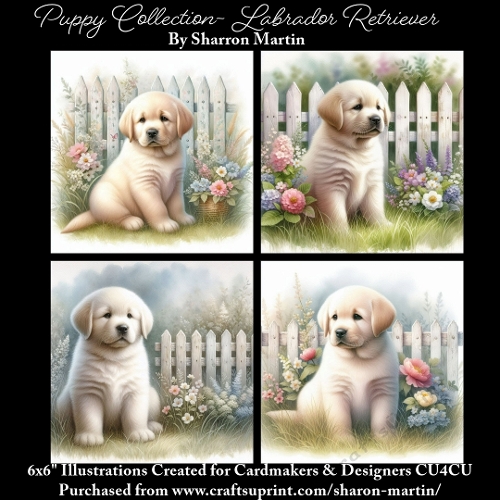 6x6 Puppy Collection - Labrador Retriever - Illustrations for Cardmaking & Designers