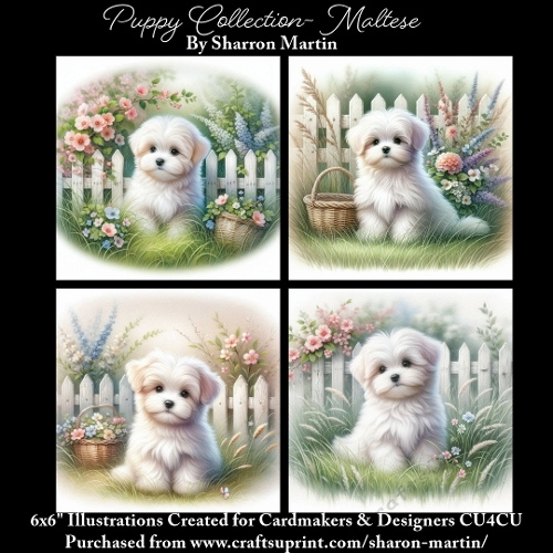 6x6 Puppy Collection - Maltese - Illustrations for Cardmaking & Designers
