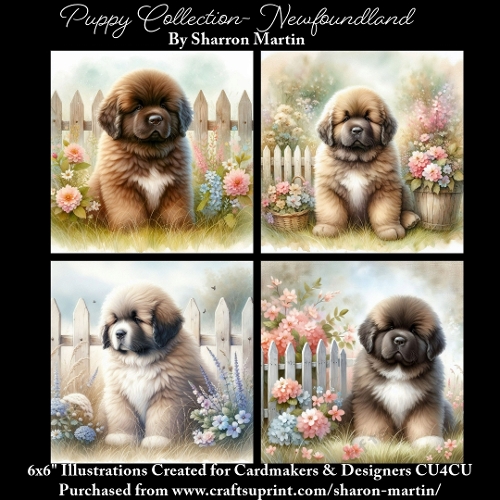 6x6 Puppy Collection - Newfoundland - Illustrations for Cardmaking & Designers