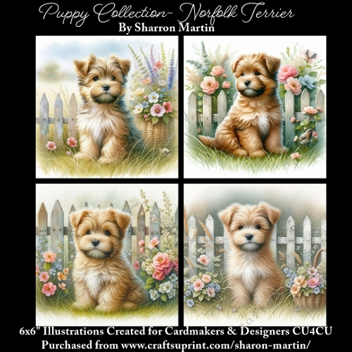 6x6 Puppy Collection - Norfolk Terrier - Illustrations for Cardmaking & Designers