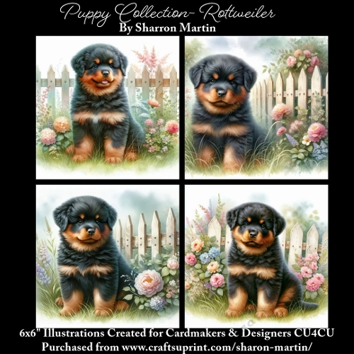 6x6 Puppy Collection - Rottweiler - Illustrations for Cardmaking & Designers