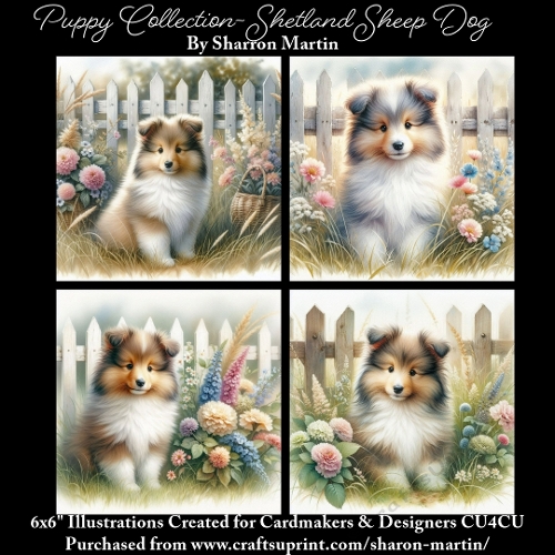 6x6 Puppy Collection - Shetland Sheep Dog - Illustrations for Cardmaking & Designers