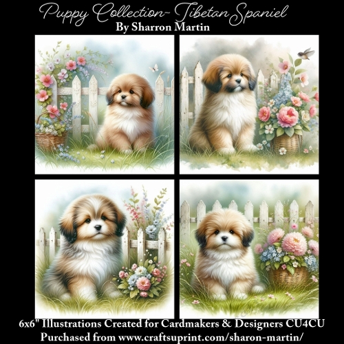 6x6 Puppy Collection - Tibetan Spaniel - Illustrations for Cardmaking & Designers