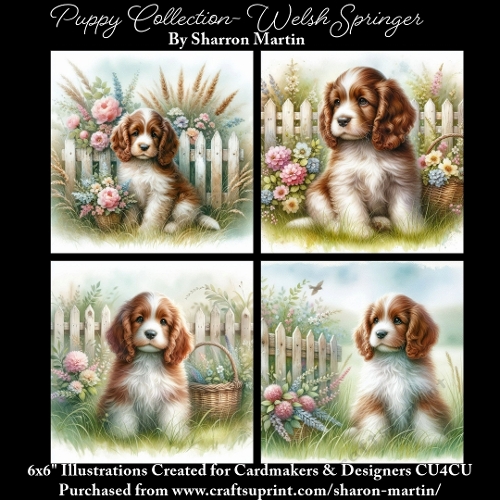 6x6 Puppy Collection - Welsh Springer - Illustrations for Cardmaking & Designers