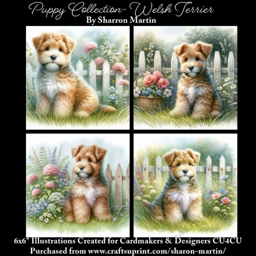 6x6 Puppy Collection - Welsh Terrier - Illustrations for Cardmaking & Designers