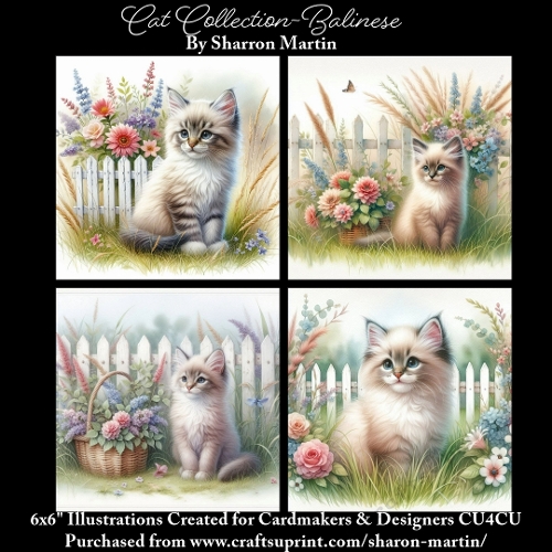 6x6 Cats Collection - Balinese - Illustrations for Cardmaking & Designers