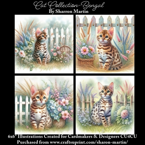 6x6 Cats Collection - Bengal - Illustrations for Cardmaking & Designers