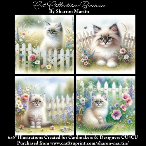 6x6 Cats Collection - Birman - Illustrations for Cardmaking & Designers