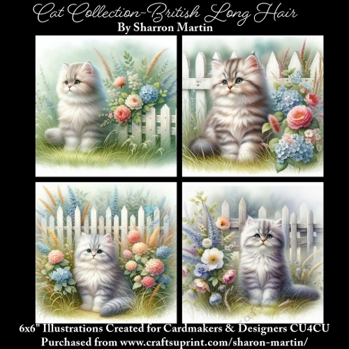 6x6 Cats Collection - British Long Hair - Illustrations for Cardmaking & Designers