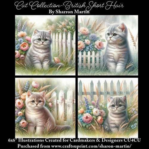 6x6 Cats Collection - British Short Hair - Illustrations for Cardmaking & Designers