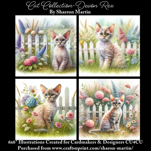 6x6 Cats Collection - Devon Rex - Illustrations for Cardmaking & Designers