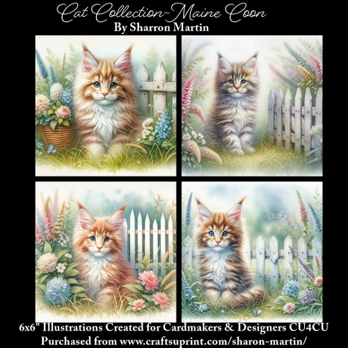 6x6 Cats Collection - Maine Coon - Illustrations for Cardmaking & Designers
