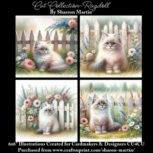 6x6 Cats Collection - Ragdoll - Illustrations for Cardmaking & Designers