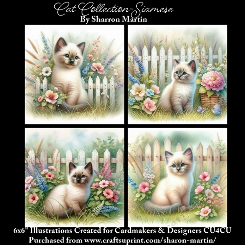 6x6 Cats Collection - Siamese - Illustrations for Cardmaking & Designers