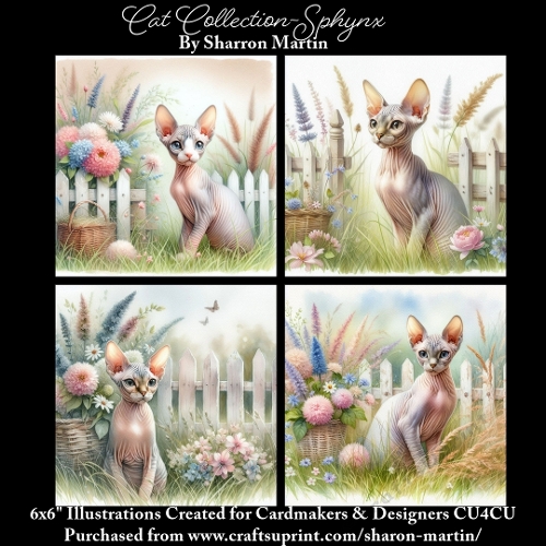 6x6 Cats Collection - Sphynx - Illustrations for Cardmaking & Designers
