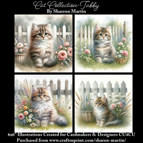6x6 Cats Collection - Tabby - Illustrations for Cardmaking & Designers