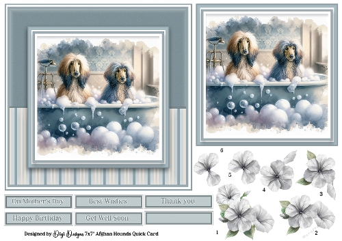 7x7 Afghan Hounds (Dogs) Quick Card 