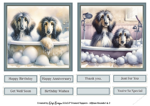 5.5 Afghan Hounds 1 & 2 with Sentiments 