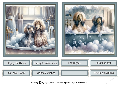 5.5 Afghan Hounds 3 & 4 with Sentiments 