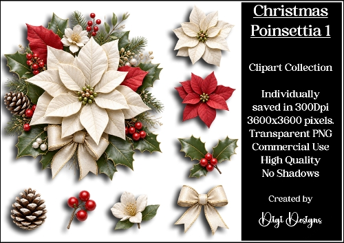 Christmas Poinsettia 1 Clipart Collection 