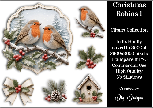 Christmas Robins 1 Clipart Collection 