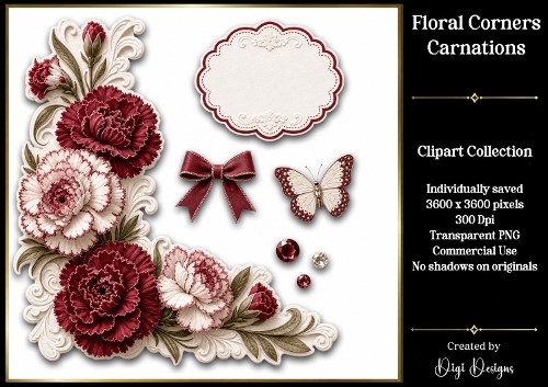 Carnations 1 Floral Corners PNG 