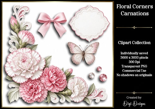 Carnations 2 Floral Corners PNG 