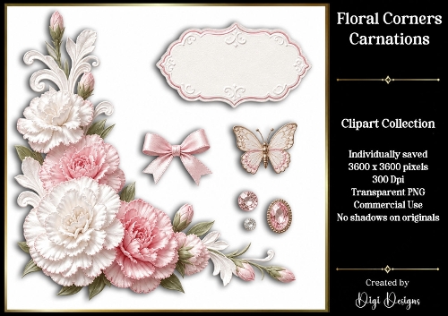 Carnations 3 Floral Corners PNG 