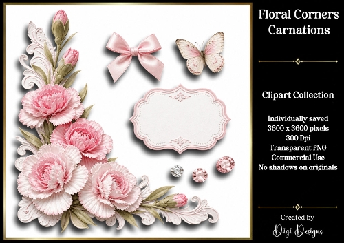 Carnations 4 Floral Corners PNG 