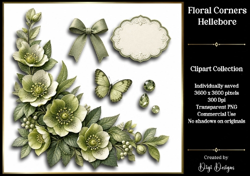 Hellebore 1 Clipart Collection PNG
