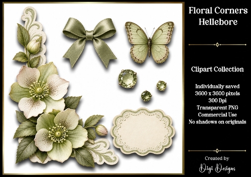 Hellebore 2 Clipart Collection PNG