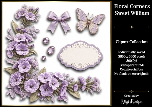 Sweet William 1 Clipart Collection PNG