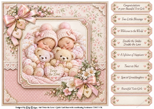 Twice The Love Twin Girls - Quick Card 